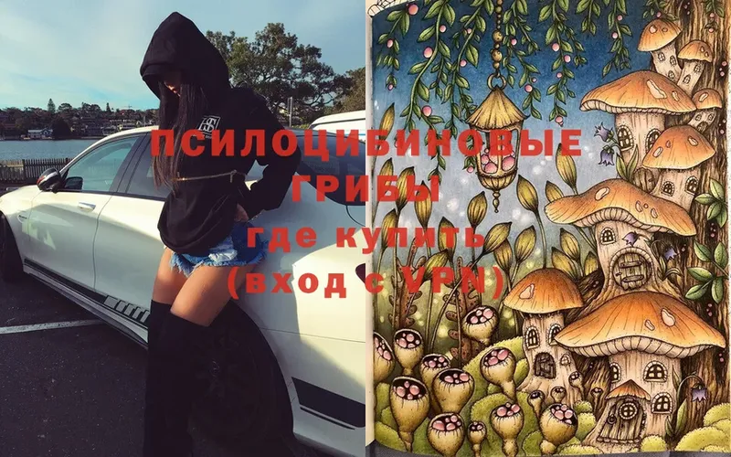 гидра как зайти  Курган  Галлюциногенные грибы Magic Shrooms 